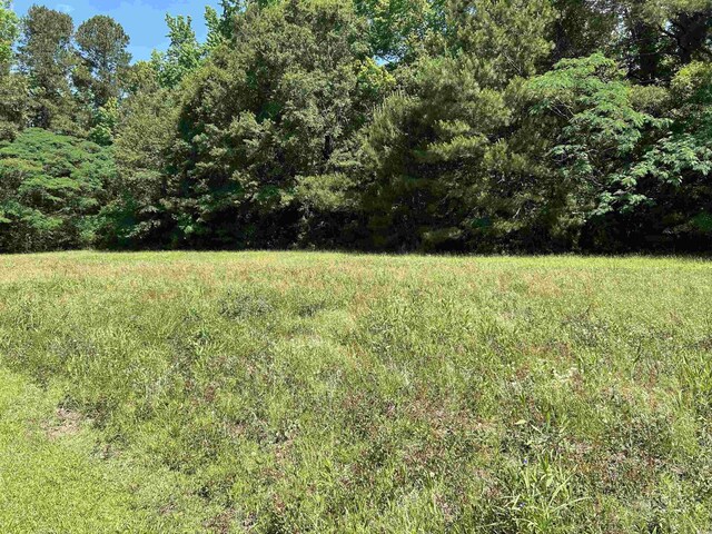 444 Davis Rd, Hemingway, SC 29554 - photo 14