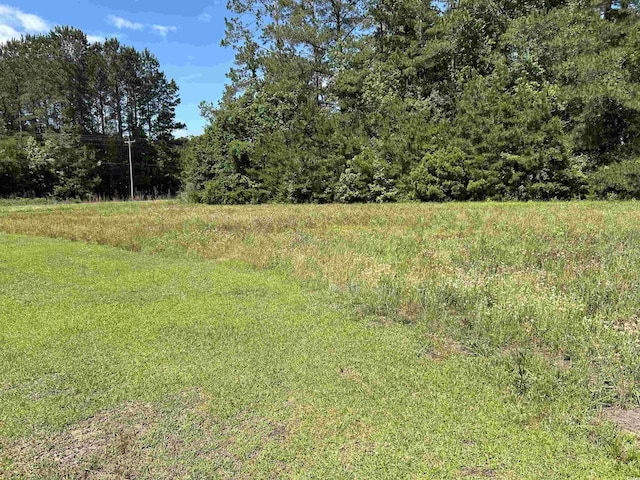 view of undeveloped land