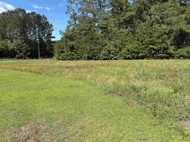 444 Davis Rd, Hemingway, SC 29554 - photo 15