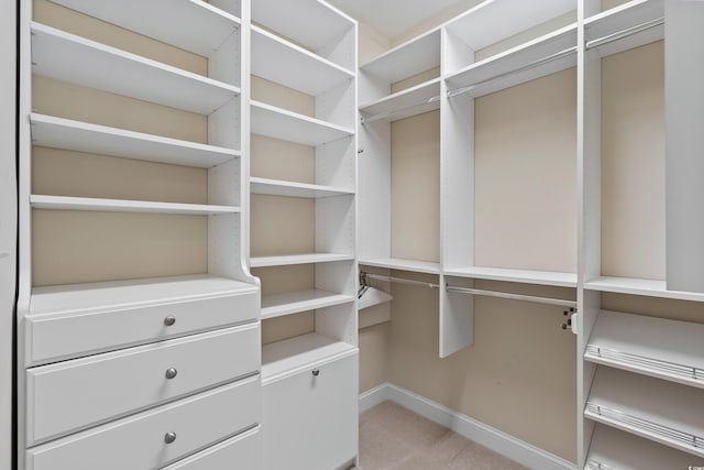 walk in closet featuring light colored carpet