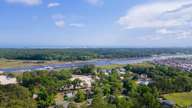 bird's eye view of a nearby body of water
