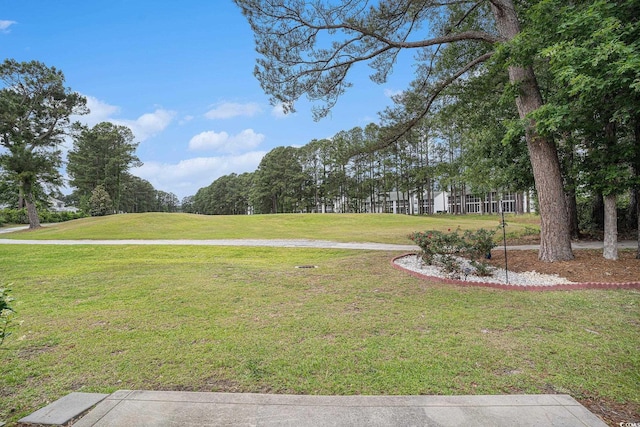 view of grassy yard
