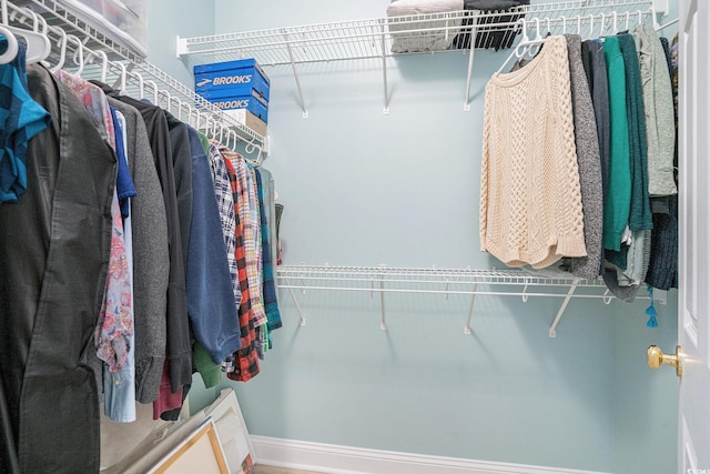 view of spacious closet