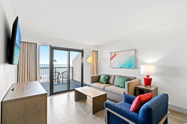 2301 S Ocean Blvd Unit 621, Myrtle Beach, SC 29577 - living area with light wood finished floors and baseboards