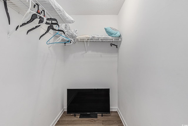 spacious closet with wood finished floors