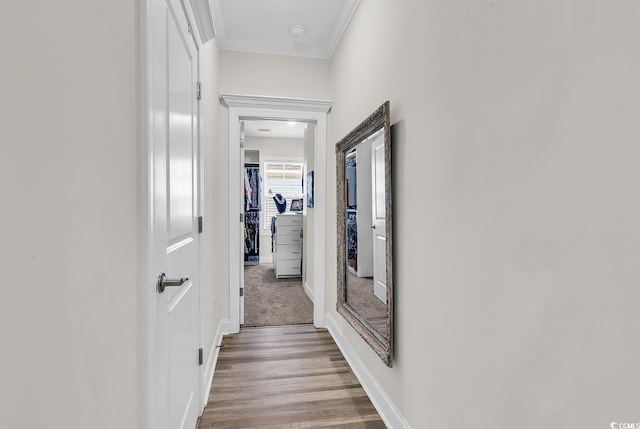 1340 Jolly Roger Dr, North Myrtle Beach, SC 29582 - corridor with ornamental molding, baseboards, and wood finished floors
