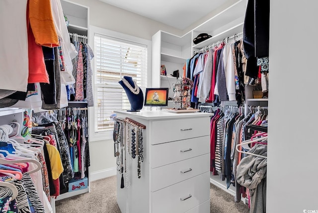 1340 Jolly Roger Dr, North Myrtle Beach, SC 29582 - walk in closet with carpet floors