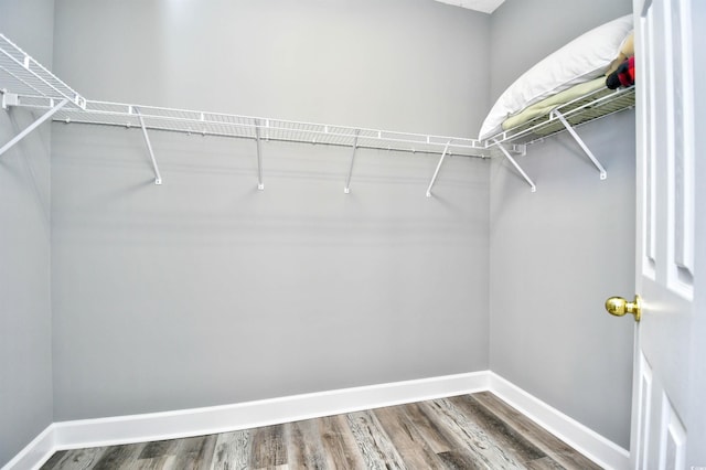 6172 Catalina Dr Unit 515, North Myrtle Beach, SC 29582 - spacious closet with wood finished floors