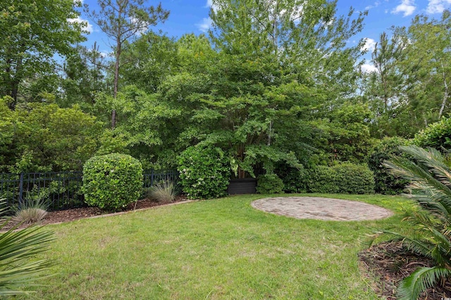 1444 Thames Ct, Myrtle Beach, SC 29577 - view of yard