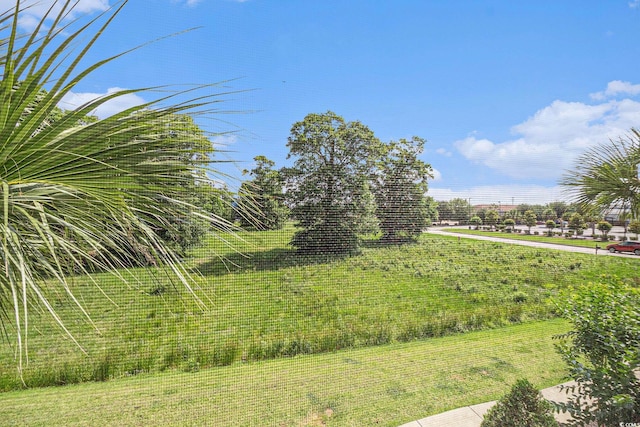 189 Ella Kinley Cir Unit 201, Myrtle Beach, SC 29588 - view of yard
