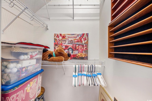 view of walk in closet