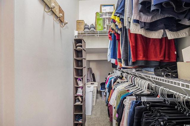 walk in closet featuring carpet