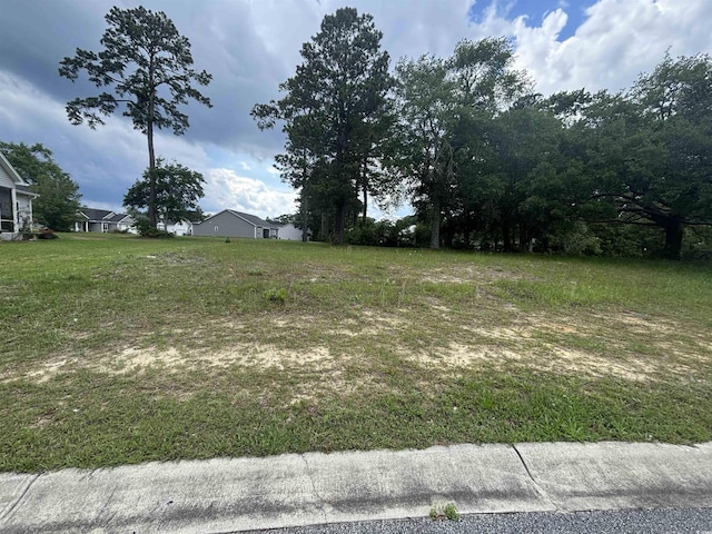 302 Chaff Ct, Georgetown, SC 29440