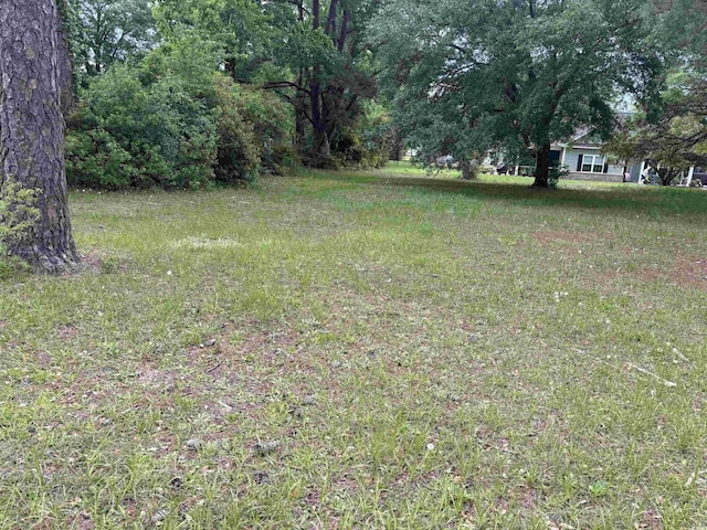 302 Chaff Ct, Georgetown, SC 29440