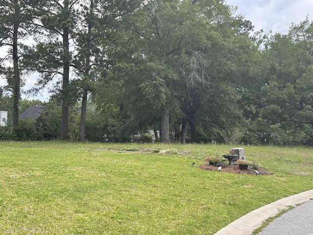 302 Chaff Ct, Georgetown, SC 29440