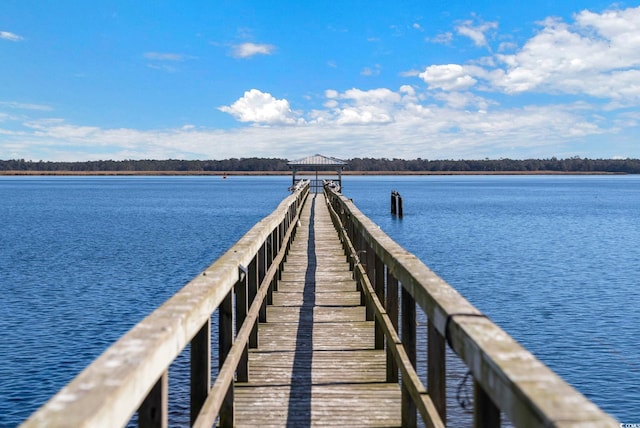 302 Chaff Ct, Georgetown, SC 29440