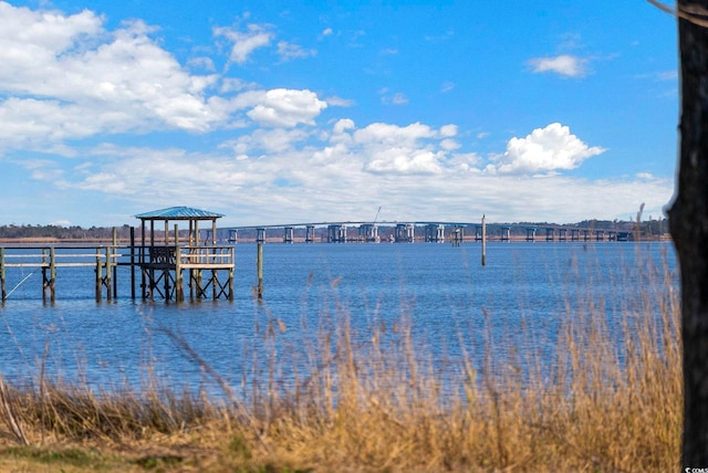 302 Chaff Ct, Georgetown, SC 29440