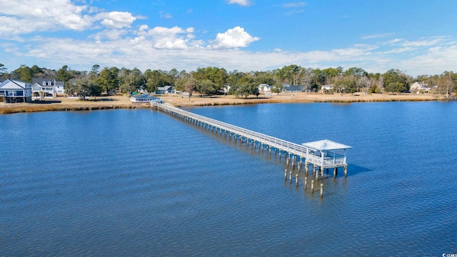 302 Chaff Ct, Georgetown, SC 29440