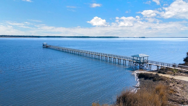 302 Chaff Ct, Georgetown, SC 29440