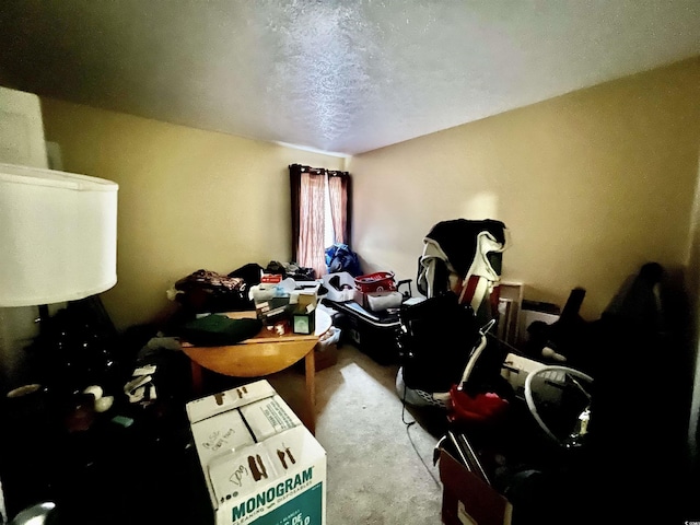 755 Burcale Rd Unit G4, Myrtle Beach, SC 29579 - bedroom with a textured ceiling