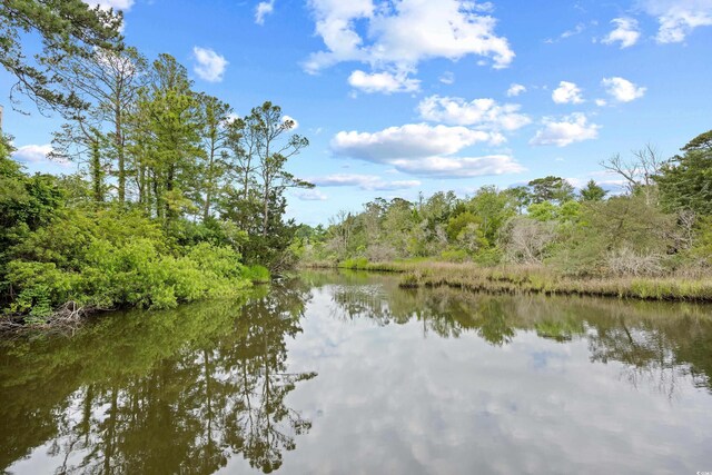 6813 Porcher Dr Unit 21, Myrtle Beach, SC 29572 - photo 33