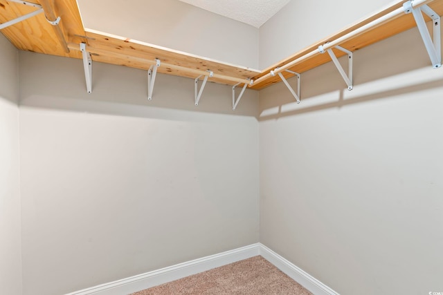 spacious closet with carpet flooring