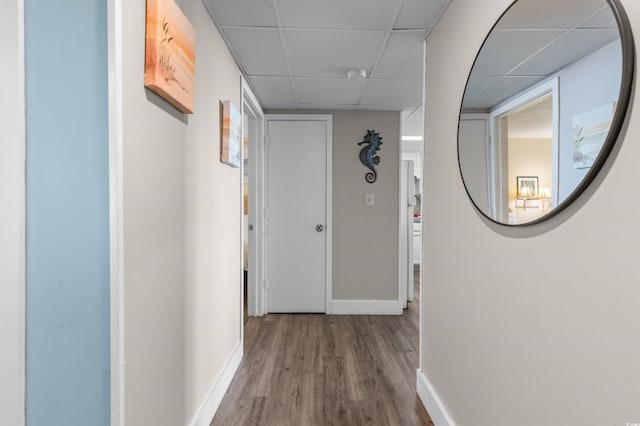 202 74th Ave N Unit 2547/2548, Myrtle Beach, SC 29572 - hallway with a drop ceiling, baseboards, and wood finished floors