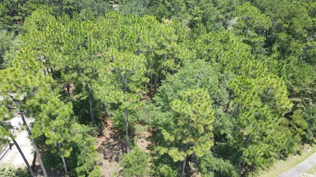 TBD Bridge View Rd, Georgetown, SC 29440