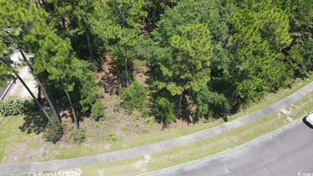 TBD Bridge View Rd, Georgetown, SC 29440