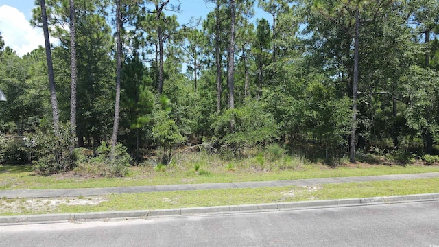 TBD Bridge View Rd, Georgetown, SC 29440