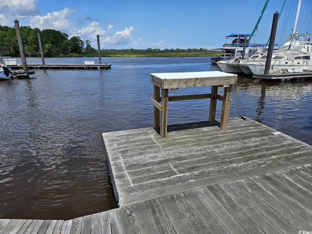 TBD Bridge View Rd, Georgetown, SC 29440