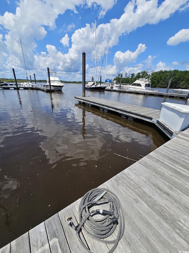 TBD Bridge View Rd, Georgetown, SC 29440