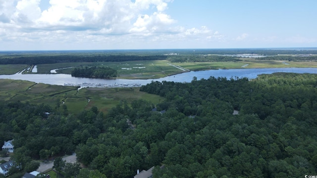 TBD Bridge View Rd, Georgetown, SC 29440