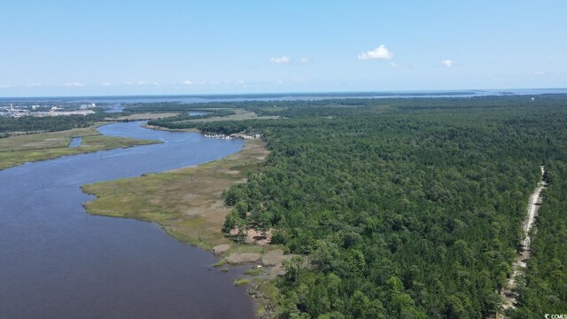 TBD Bridge View Rd, Georgetown, SC 29440
