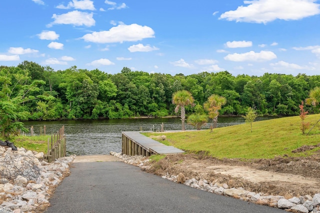 434 Harbour View Dr, Myrtle Beach, SC 29579 - photo 39