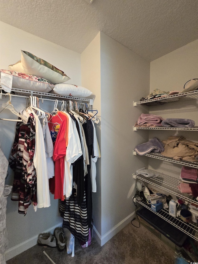 spacious closet with carpet floors