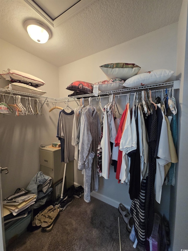 walk in closet featuring carpet floors