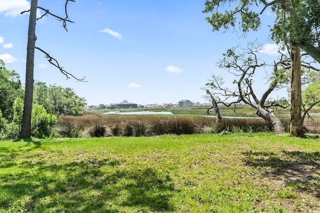 400 Elizabeth Dr, Murrells Inlet, SC 29576 - view of yard