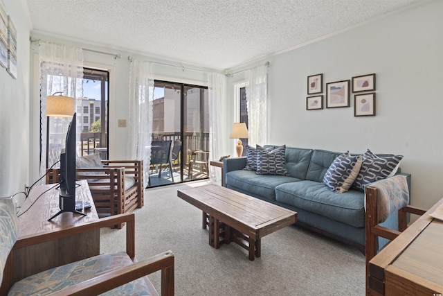 206 2nd Ave N Unit 271, North Myrtle Beach, SC 29582 - living area with carpet flooring, a textured ceiling, and ornamental molding