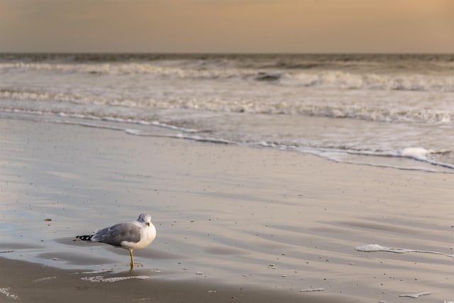 1058 Sea Mountain Hwy Unit 4-203, North Myrtle Beach, SC 29582 - water view