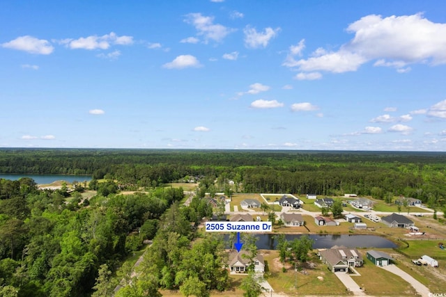 2505 Suzanne Dr, Conway, SC 29526 - aerial view of property's location with a forest and a large body of water
