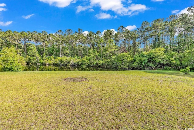 view of grassy yard
