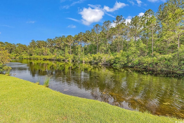 water view featuring a forest