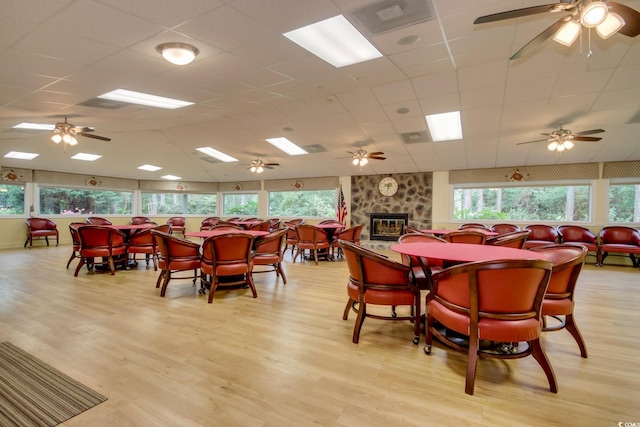 dining area featuring ceiling fan, a drop ceiling, light wood finished floors, and a stone fireplace
