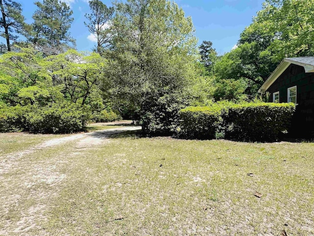 2573 Martin Luther King Hwy, Kingstree, SC 29556 - photo 2