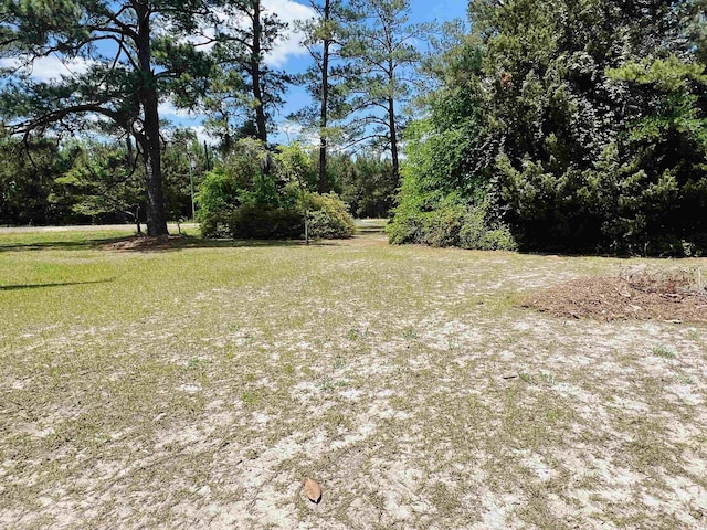 2573 Martin Luther King Hwy, Kingstree, SC 29556 - photo 23