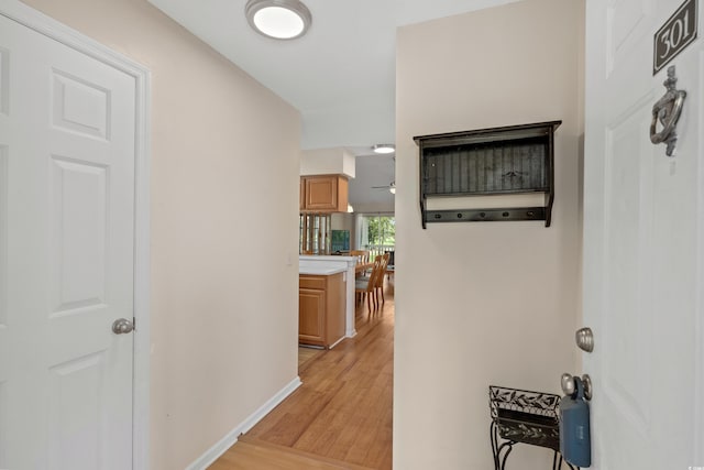 4940 Windsor Green Way Unit 301, Myrtle Beach, SC 29579 - hall with light wood finished floors and baseboards