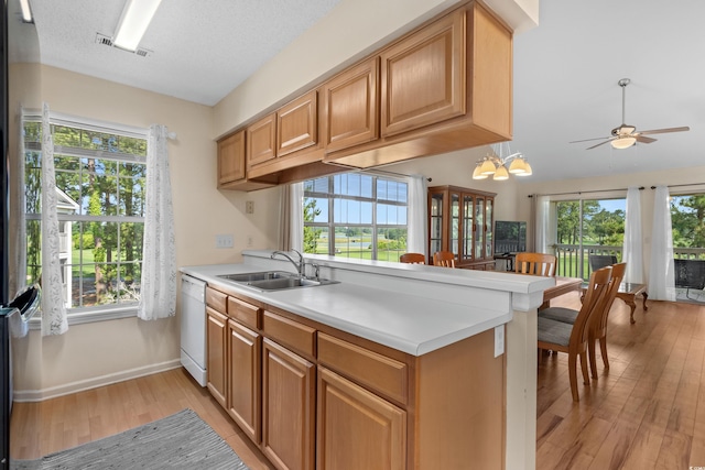 4940 Windsor Green Way Unit 301, Myrtle Beach, SC 29579 - kitchen featuring a sink, dishwasher, light wood-type flooring, ceiling fan, and light countertops