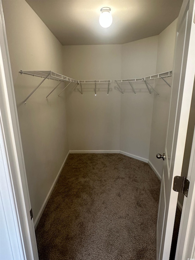 198 Foxford Dr, Conway, SC 29526 - walk in closet with carpet floors