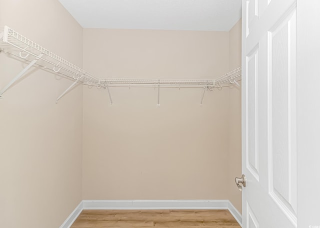 5 Coffee Mill Creek Ln, Carolina Shores, NC 28467 - walk in closet with light wood-style flooring